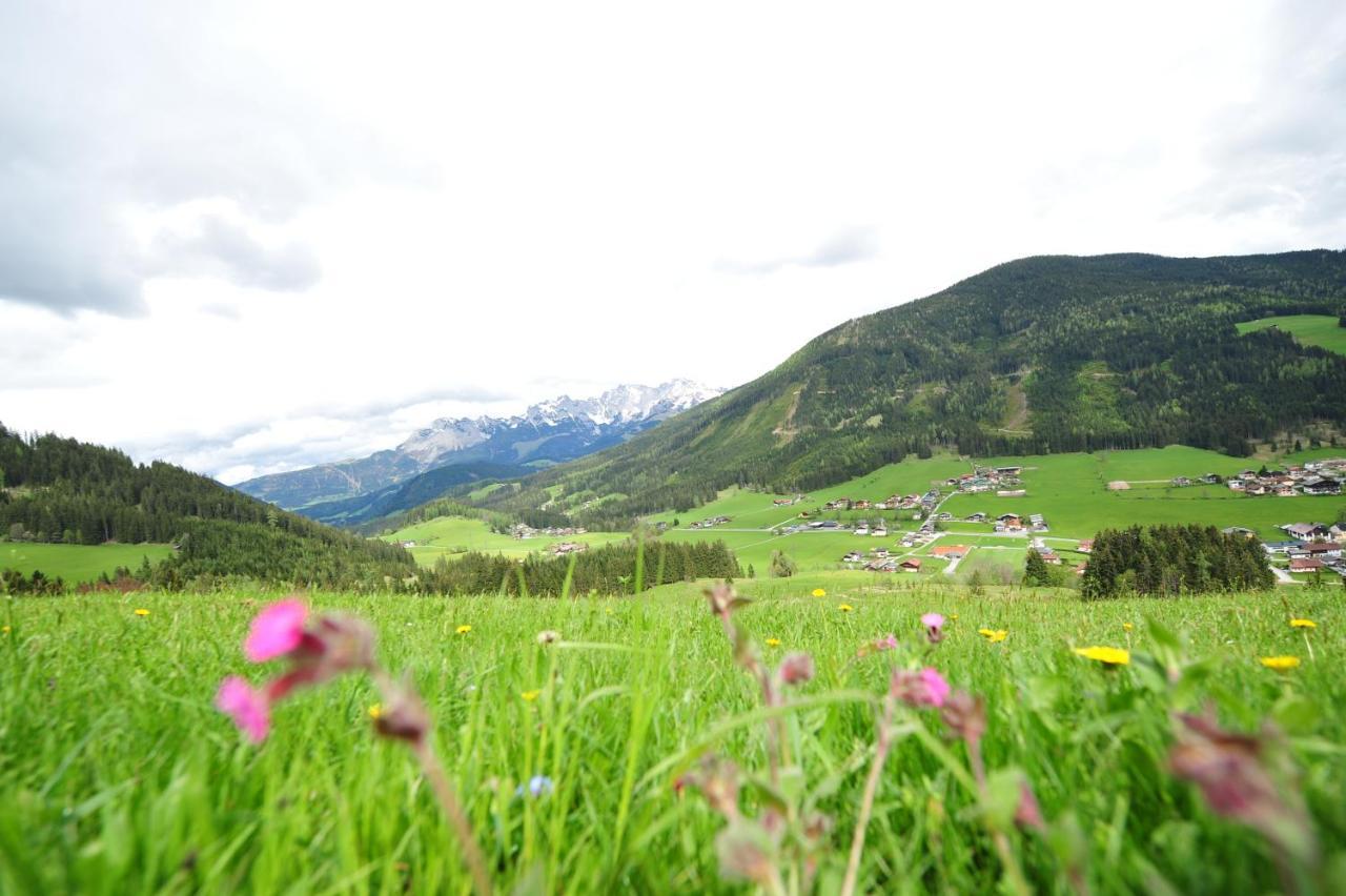 Bed and Breakfast Buttermilchalm Sankt Martin am Tennengebirge Exterior foto