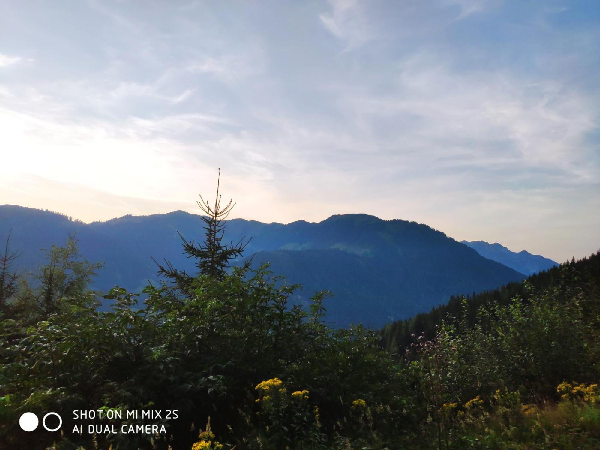 Bed and Breakfast Buttermilchalm Sankt Martin am Tennengebirge Exterior foto