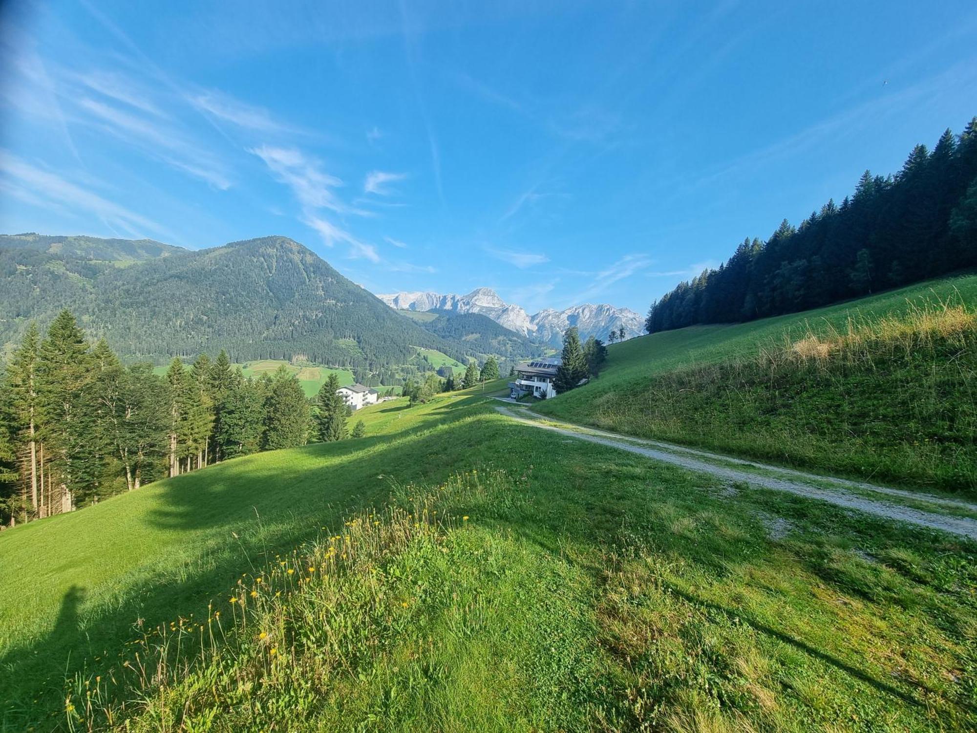 Bed and Breakfast Buttermilchalm Sankt Martin am Tennengebirge Exterior foto
