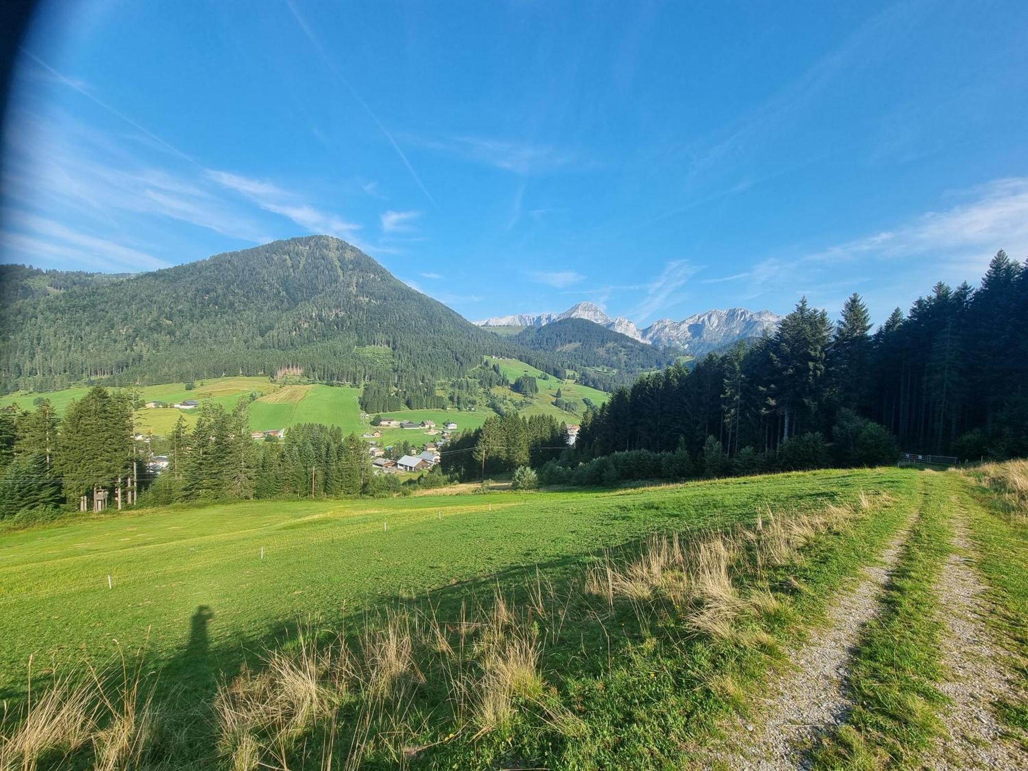 Bed and Breakfast Buttermilchalm Sankt Martin am Tennengebirge Exterior foto